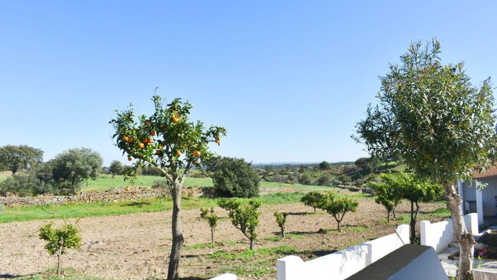 casa-da-caerca1