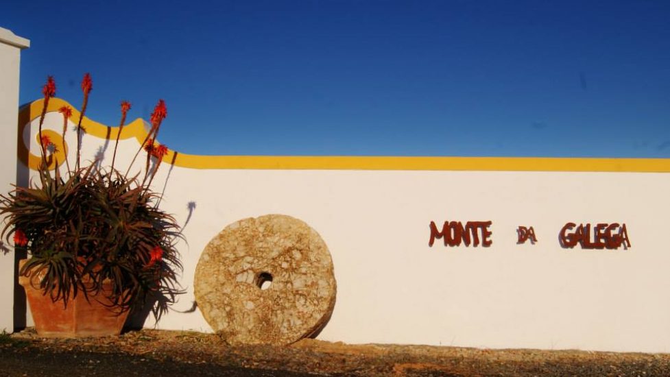 monte-galega-2